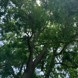 Meet your Posher, Gabrielle